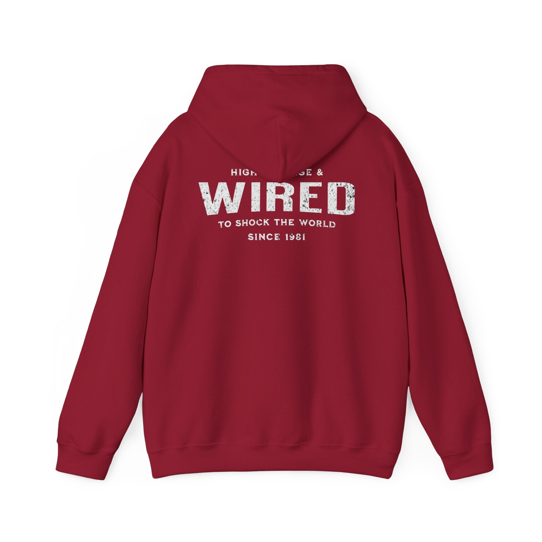 High Voltage & Wired Graphic Hoodie | Retro Distressed Text Pullover Hooded Sweatshirt