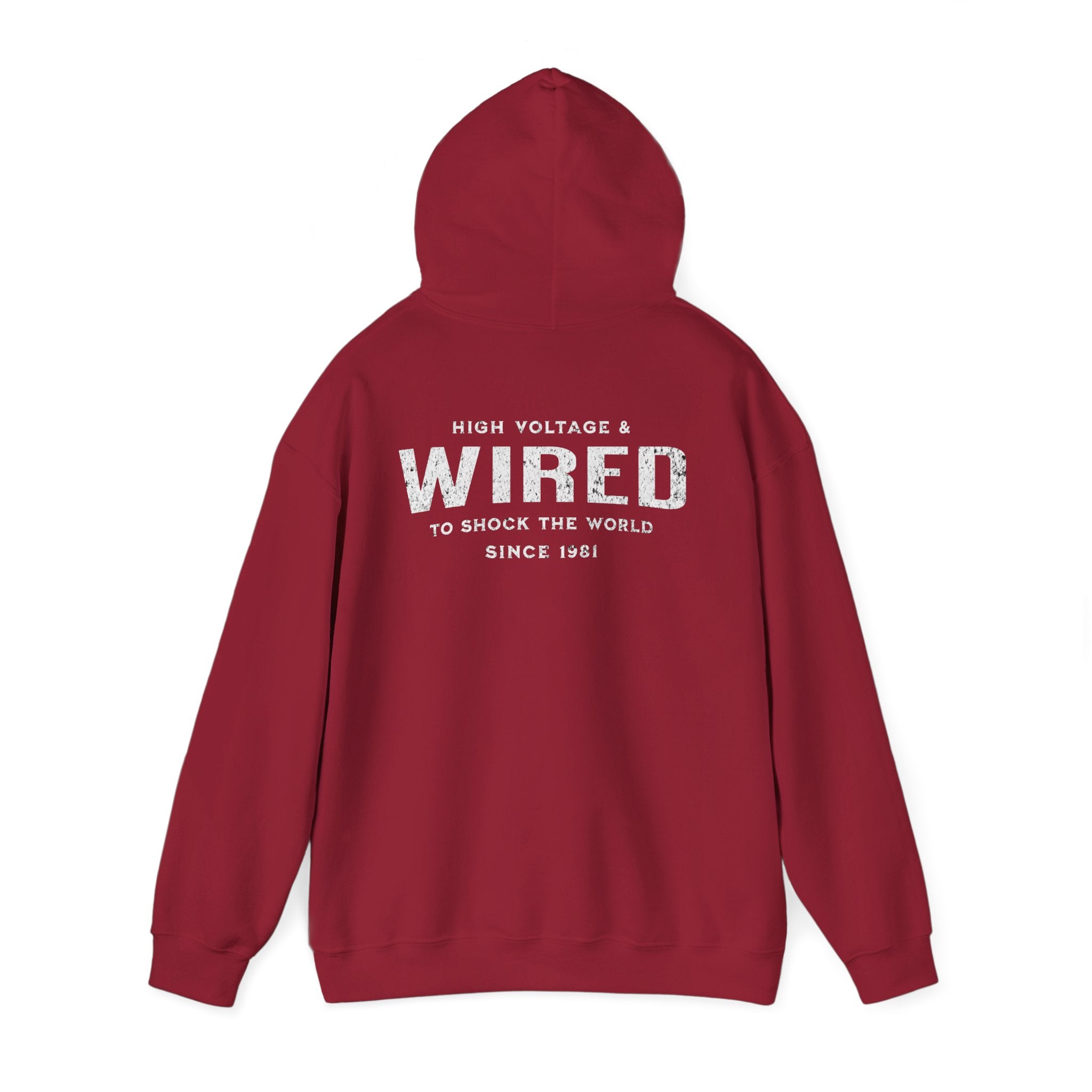 High Voltage & Wired Graphic Hoodie | Retro Distressed Text Pullover Hooded Sweatshirt